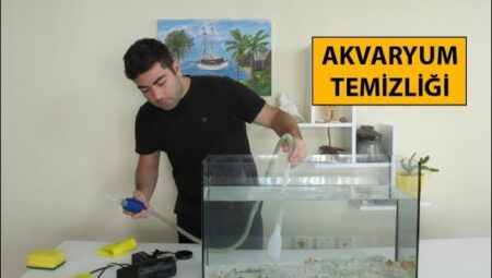 Akvaryum Temizliği Nasıl Yapılır?