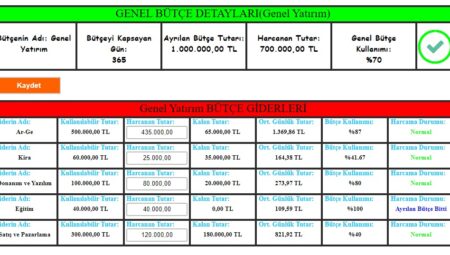 Bütçe Nasıl Yapılır?