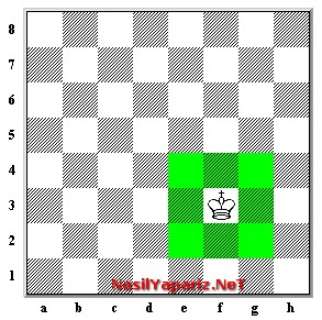 satranc nedir satranc nasil oynanir satranc kurallari nelerdir satranc taslarinin gorevleri satranc taslarinin fonksiyonlari satranc oyunu nasil oynanir nasil yapilir