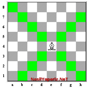 satranc nedir satranc nasil oynanir satranc kurallari nelerdir satranc taslarinin gorevleri satranc taslarinin fonksiyonlari satranc oyunu nasil oynanir nasil yapilir